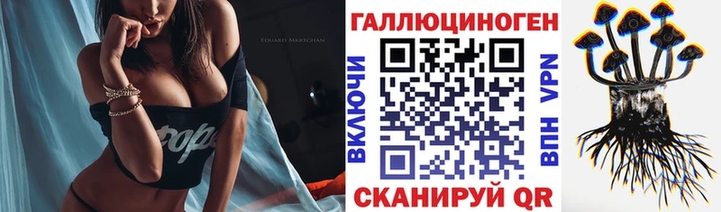 где купить наркотик  Александровское  Галлюциногенные грибы Psilocybe 
